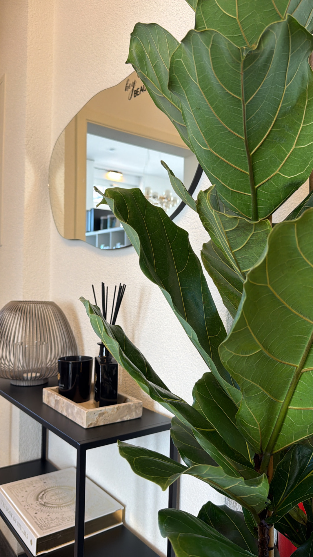 Empfangsbereich von Beauty Artistry Villingen mit Spiegel, Pflanze und Sideboard